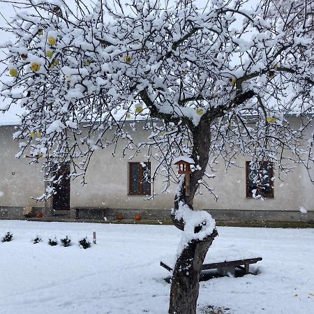 Villa Prijemny Apartman Se Zahradou Ostresany Exterior foto