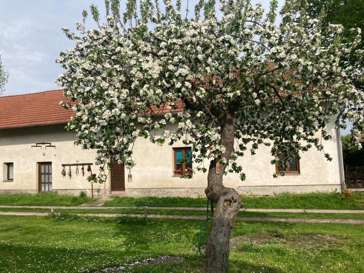 Villa Prijemny Apartman Se Zahradou Ostresany Exterior foto